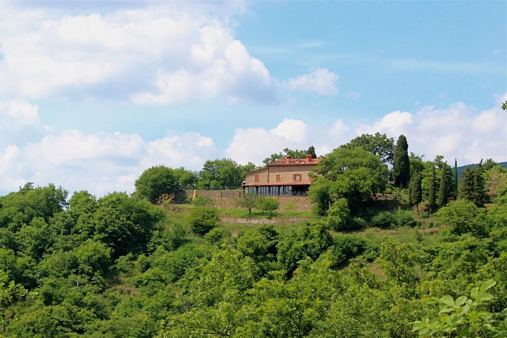 Badia Ficarolo Bauernhof