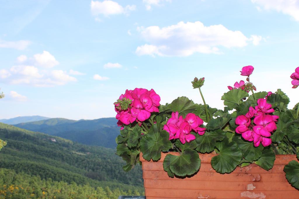 Badia Ficarolo Bauernhof