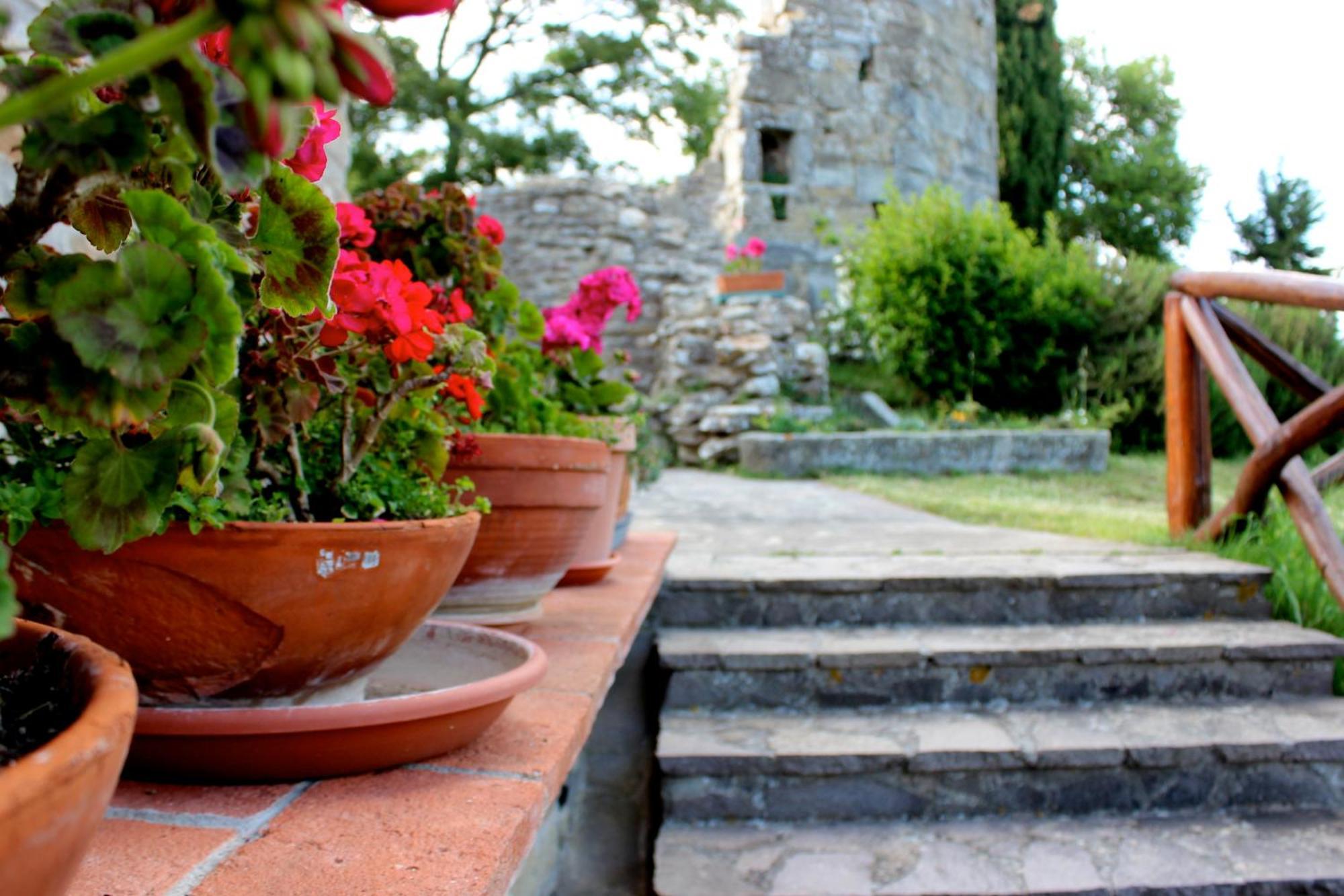Vakantieboerderij Badia Ficarolo *