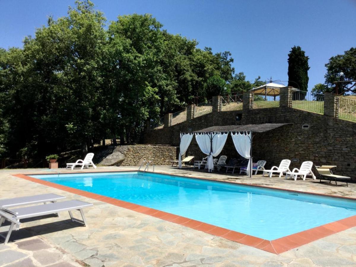 Badia Ficarolo