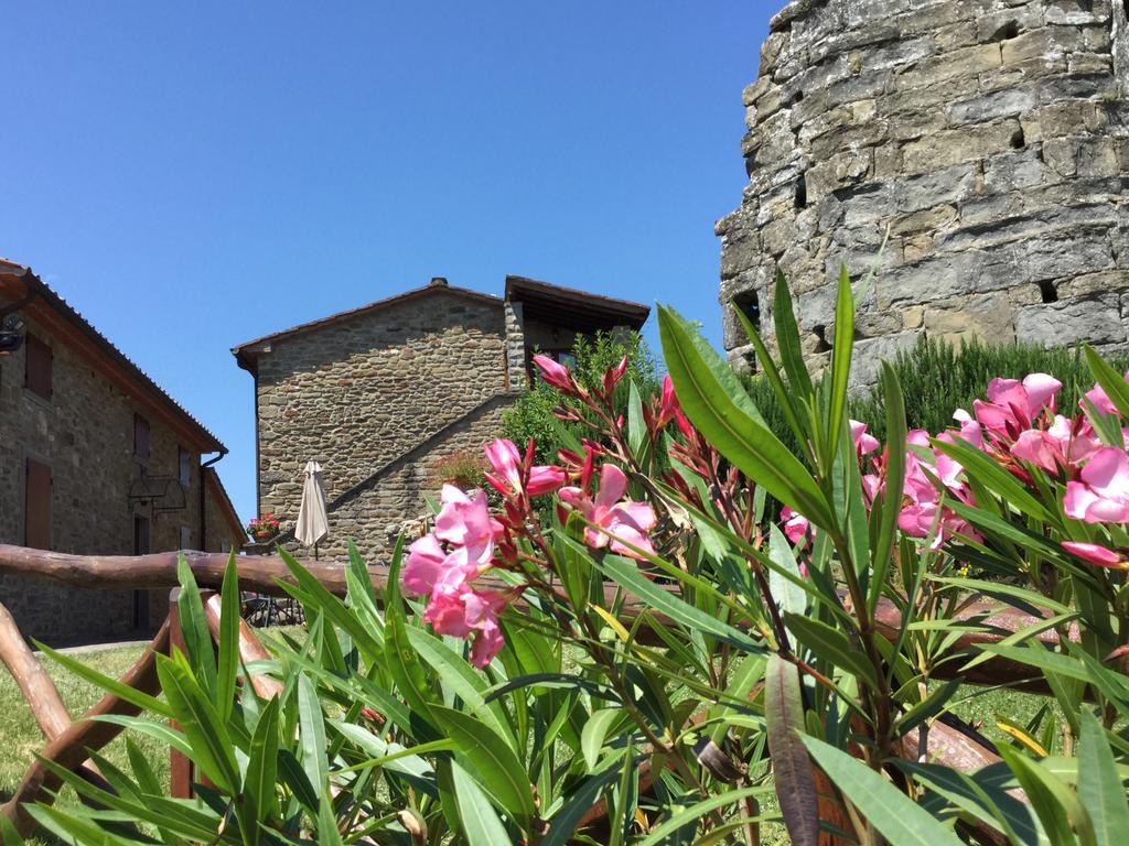 Bauernhof Badia Ficarolo *