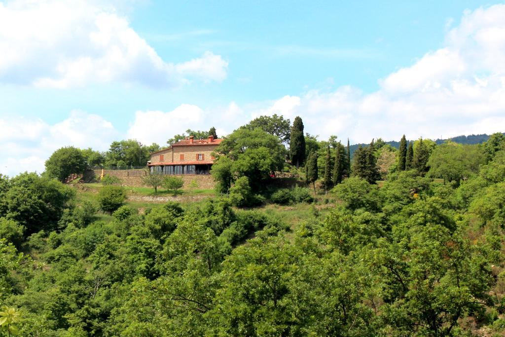 Badia Ficarolo